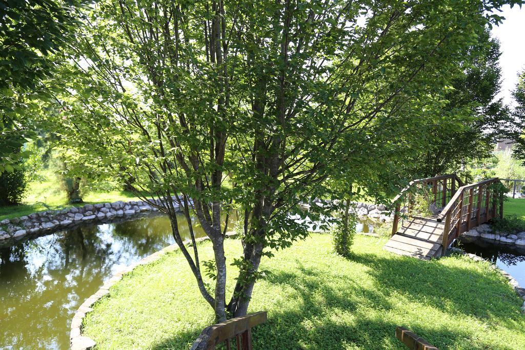 Bed and Breakfast Isola Di Wight San Michele al Tagliamento Exterior foto